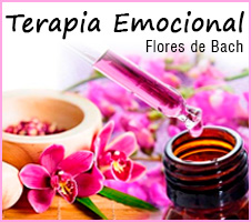 Terapia Emocional