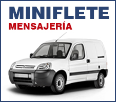 Mini Fletes