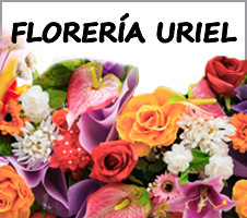 Florería Uriel